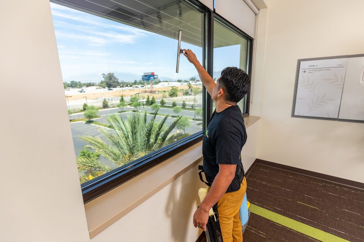 window cleaning